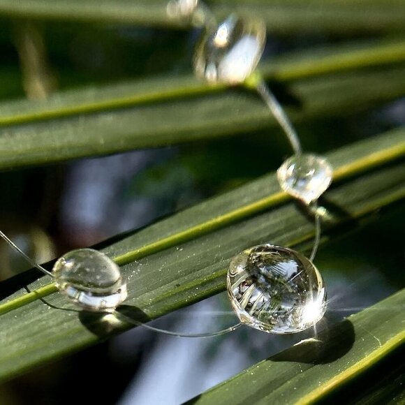 Dew Drop Necklace and Earrings Set - Elegant Clear Water Drop Choker & Lariat - Picture 6 of 7